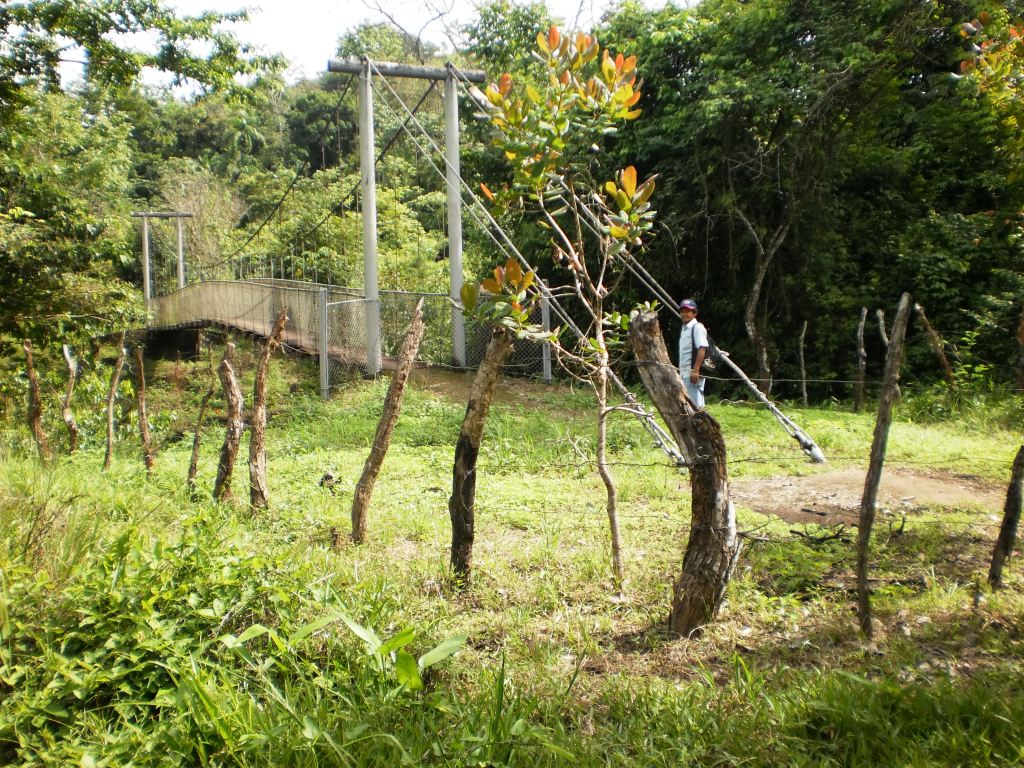 chiriquinatural.com: En peligro el Tabasará